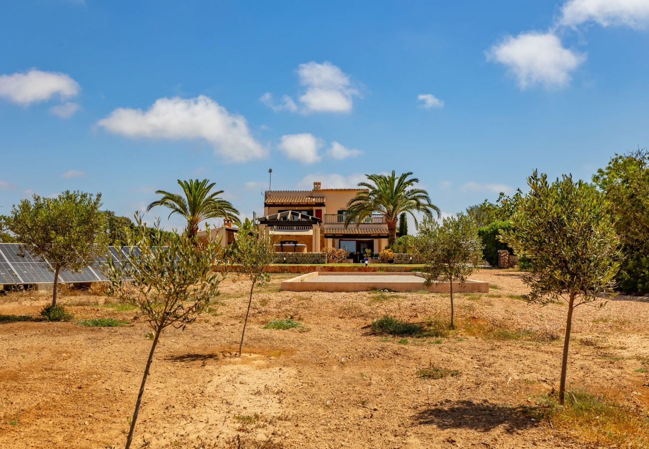 Finca en Cala Figuera - Can Talaia by dracmallorca