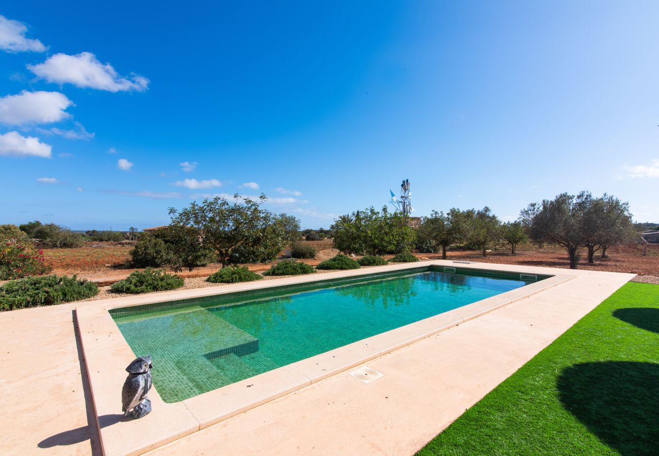 Country house in Ses Salines - Finca Hort de Can Rafalet