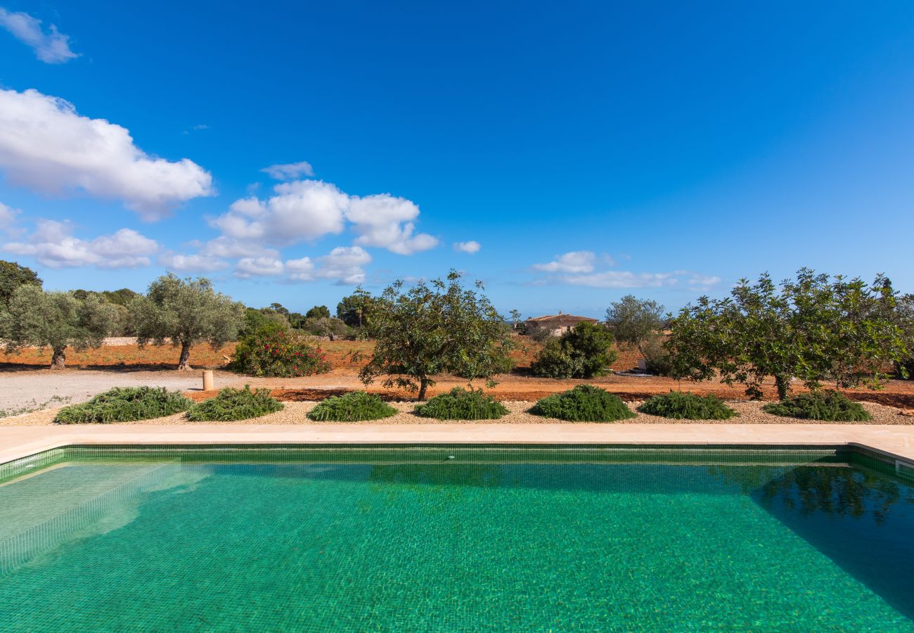 Country house in Ses Salines - Finca Hort de Can Rafalet