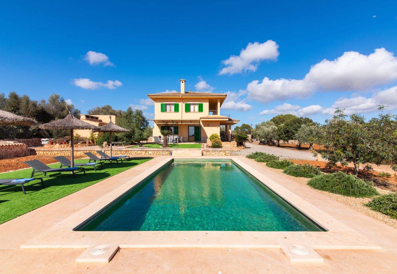 Country house in Ses Salines - Finca Hort de Can Rafalet