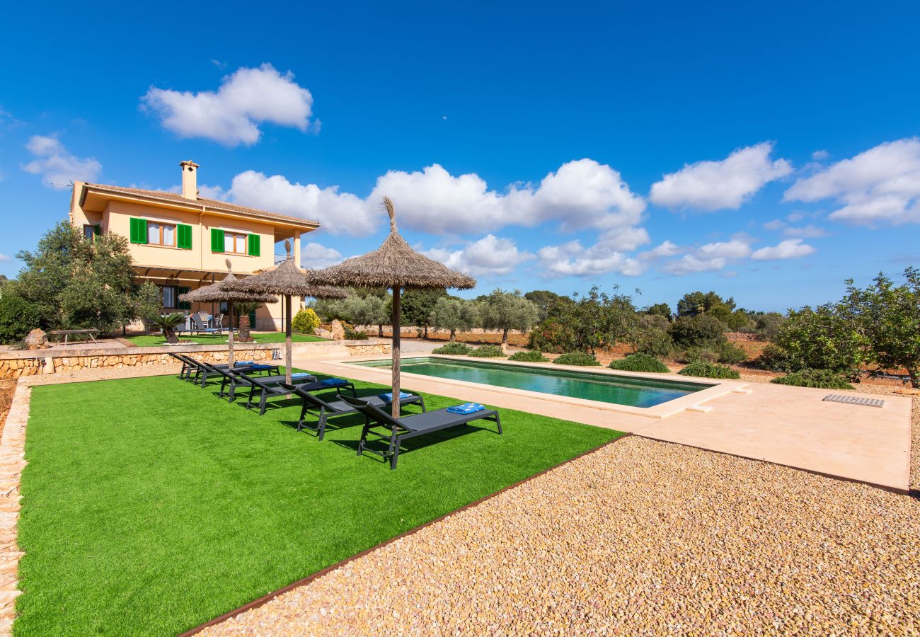 Country house in Ses Salines - Finca Hort de Can Rafalet