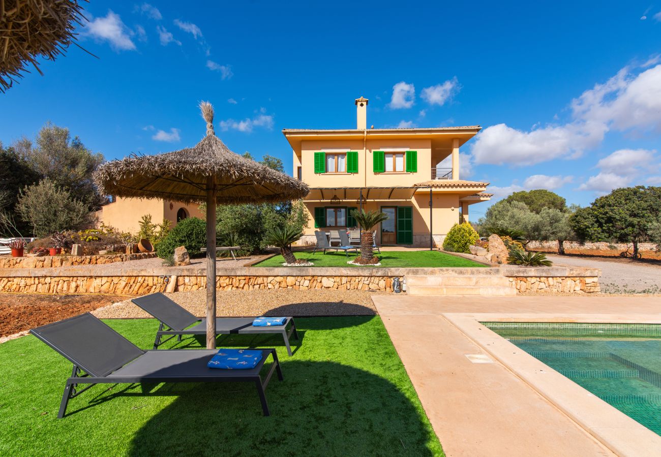 Country house in Ses Salines - Finca Hort de Can Rafalet