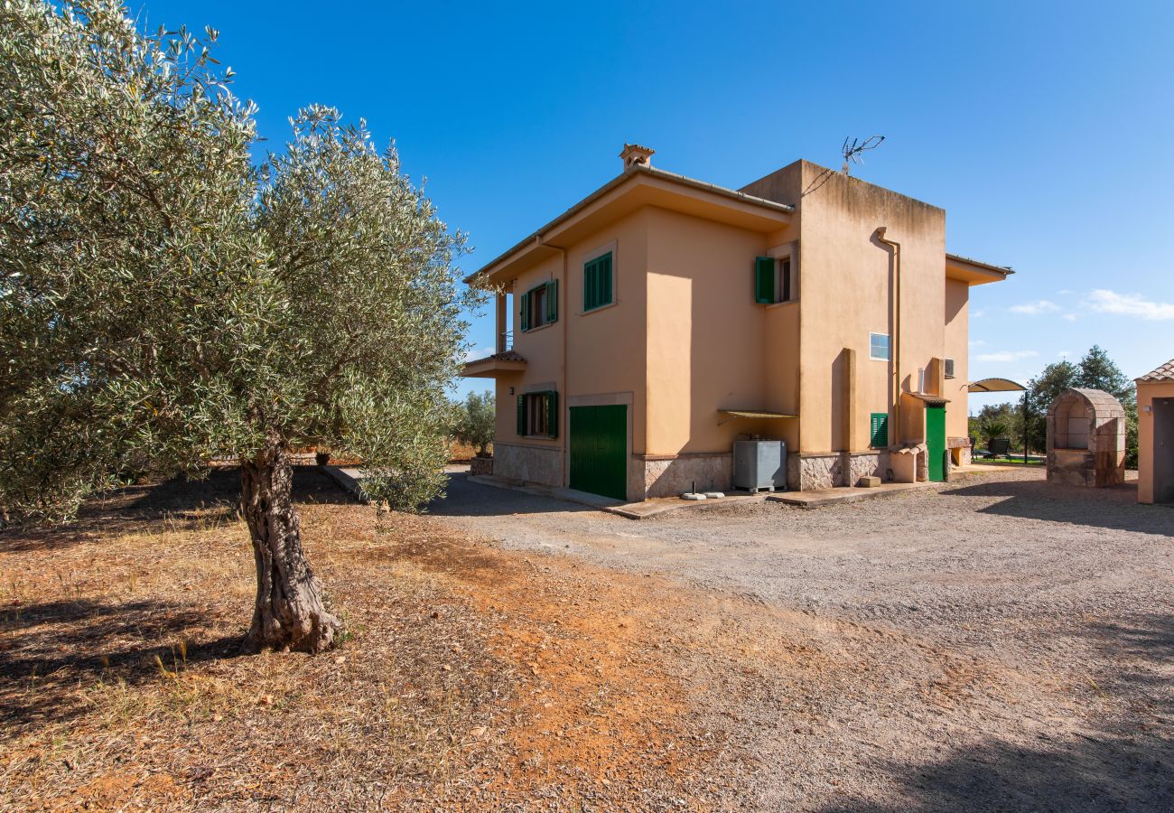 Country house in Ses Salines - Finca Hort de Can Rafalet