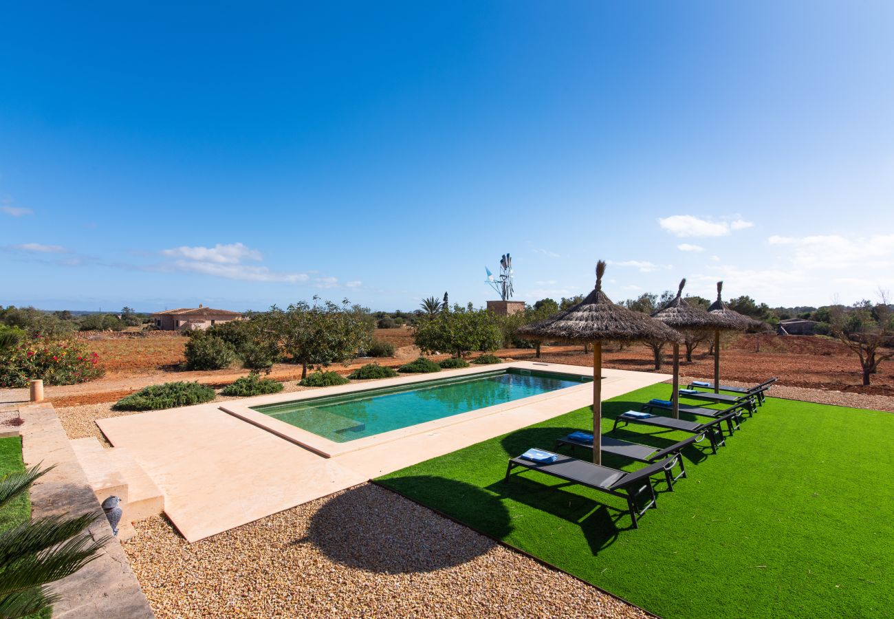 Country house in Ses Salines - Finca Hort de Can Rafalet