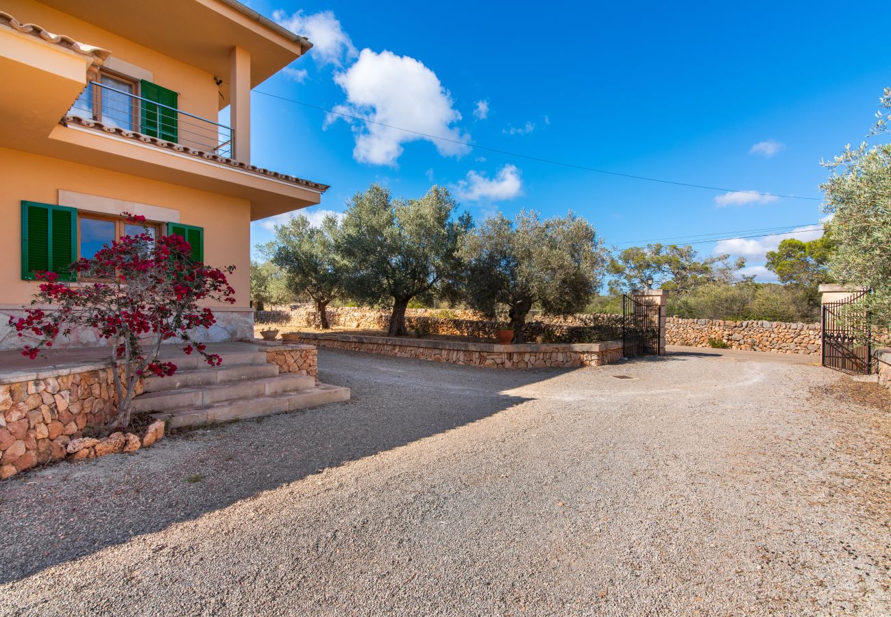 Country house in Ses Salines - Finca Hort de Can Rafalet