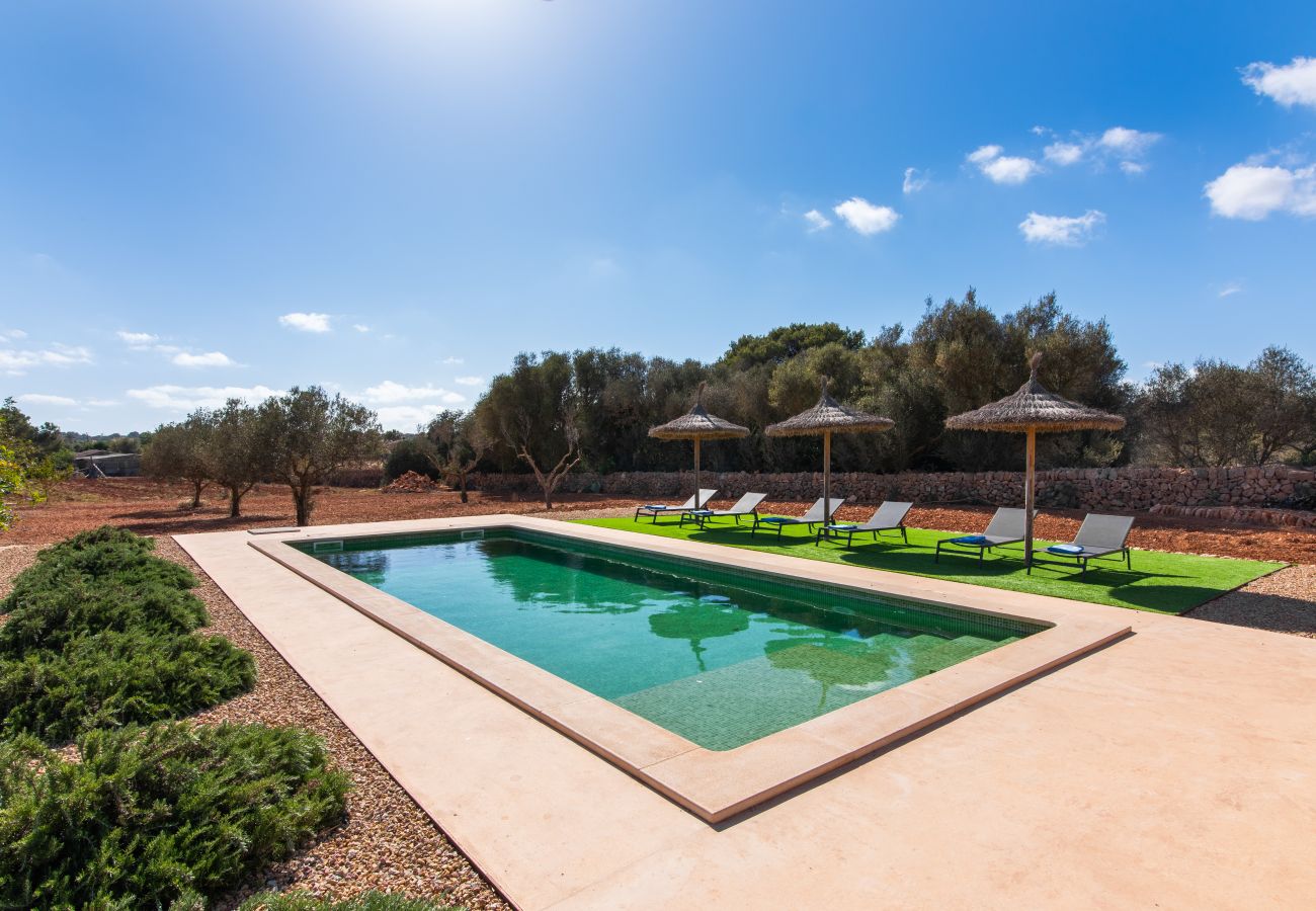 Country house in Ses Salines - Finca Hort de Can Rafalet